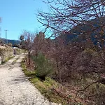Casa Oliveiras - *