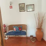 Casa Oliveiras - 別荘 *