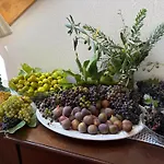 別荘 Casa Oliveiras - *