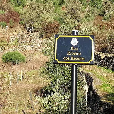 Casa Oliveiras - Сasa de vacaciones *
