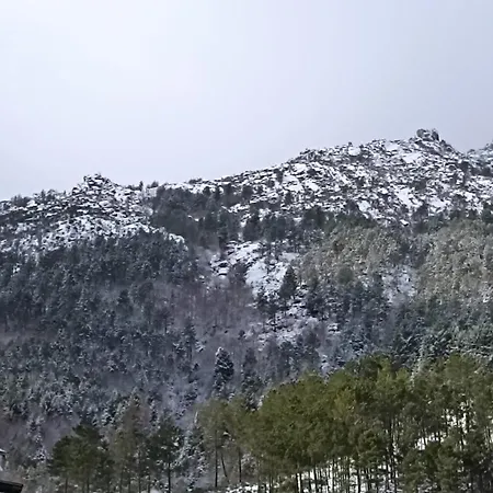 Casa Oliveiras - Manteigas