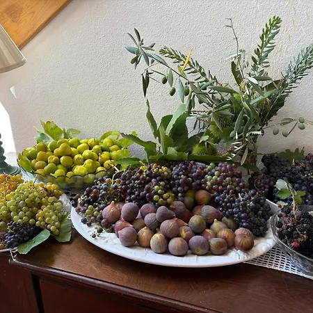 Feriehus Casa Oliveiras - *