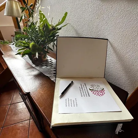 Casa Oliveiras -