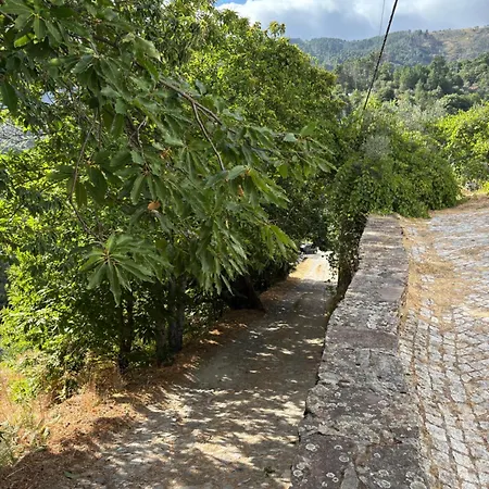 Casa Oliveiras - Semesterbostad Manteigas