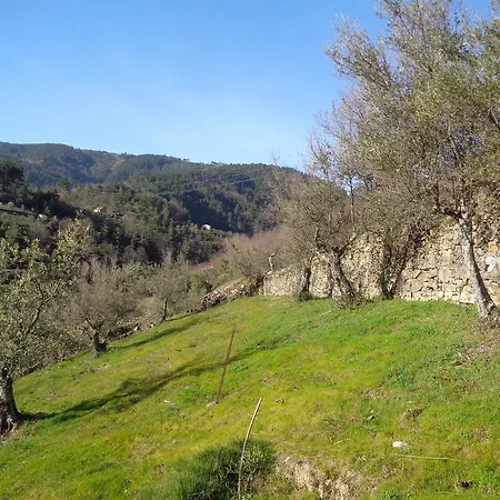 Holiday home Casa Oliveiras - *