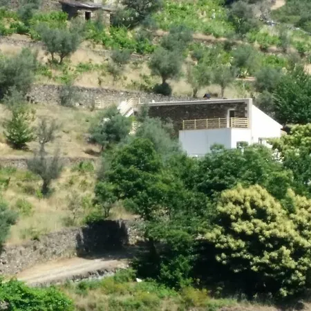 Holiday home Casa Oliveiras -