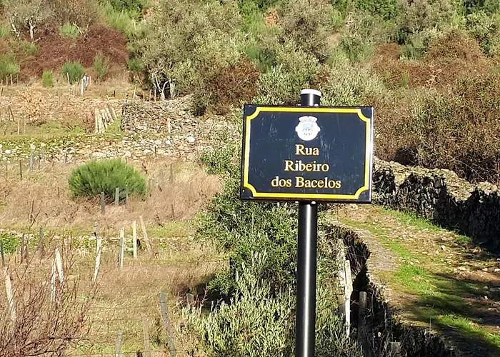 Casa Oliveiras - 別荘 *