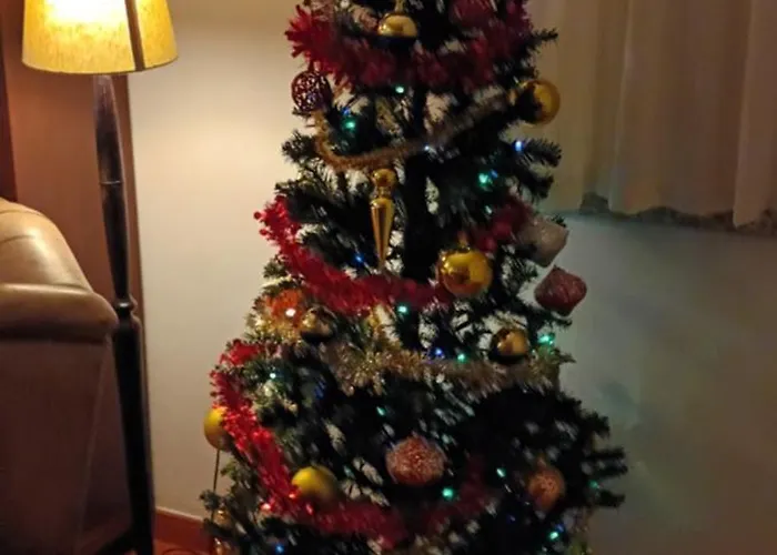 Casa Oliveiras - 別荘