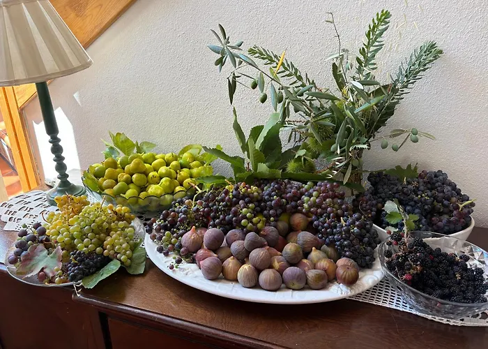 بيت للعطل Casa Oliveiras - *